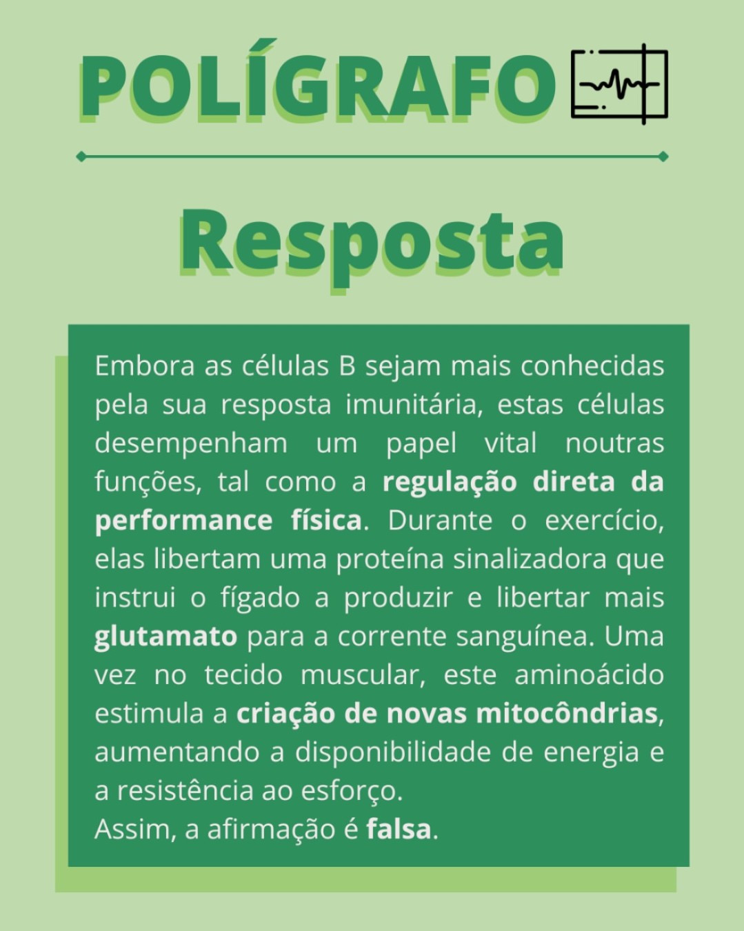 Media/Design