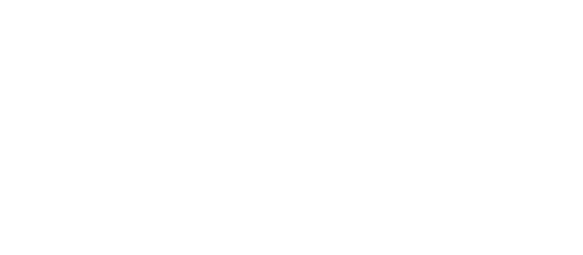 IST Logo